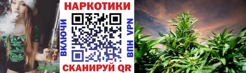 Метадон Дальнегорск