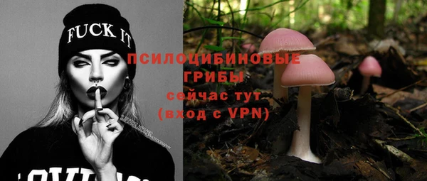 гашик Беломорск