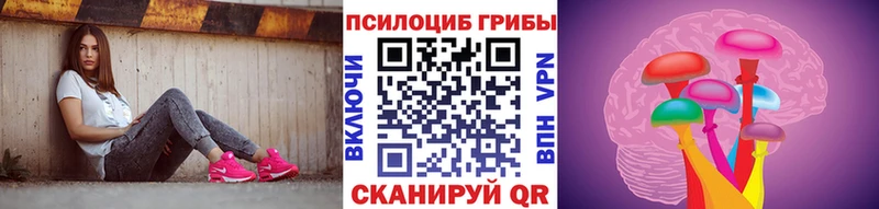 где можно купить   Дальнегорск  MEGA маркетплейс  Галлюциногенные грибы MAGIC MUSHROOMS 